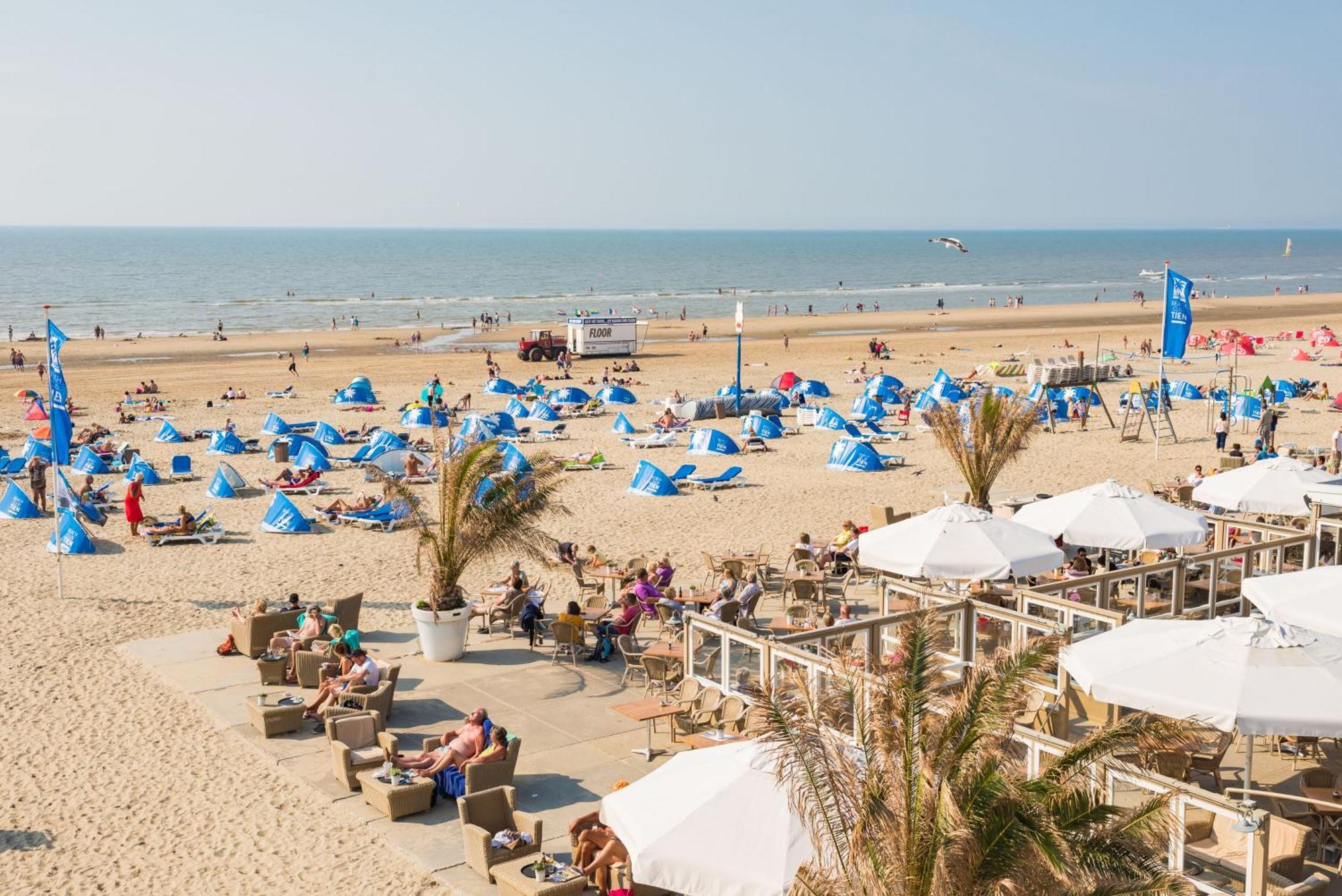 Apartment Sand & Dunes Studio Zandvoort